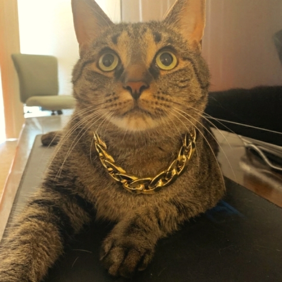 🎉HP🎉Cat Necklaces/ Collars - Picture 5 of 9